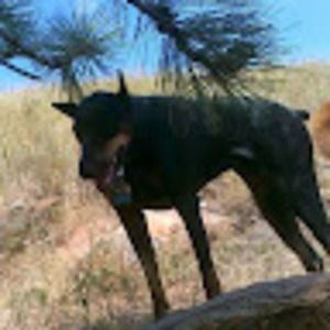 Meet your Posher, Alicia